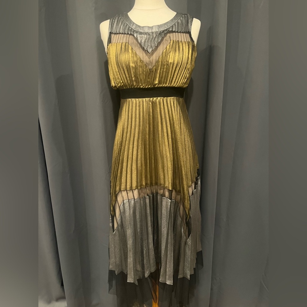 Women’s Sz 14 Rare Editions Metallic Gold and Silver/w Black Lace Lined Dress.